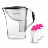 Pearlco Wasserfilter Standard Anthrazit Inkl. 3 AquaMag Filterkartuschen