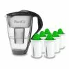 Pearlco Glas-Wasserfilter Anthrazit Inkl. 6 Alkaline Filterkartuschen