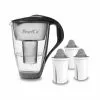 Pearlco Glas-Wasserfilter Anthrazit Inkl. 3 Protect+ Filterkartuschen